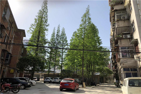 税务小区3室1厅1卫139㎡79万